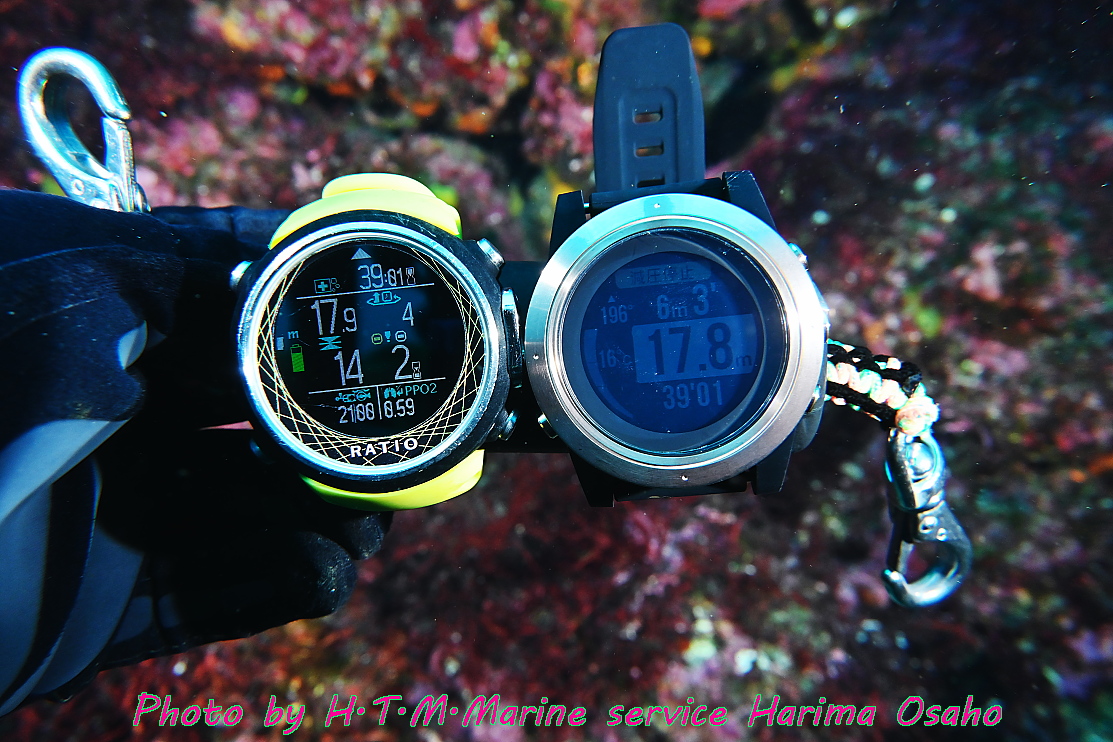 f:id:HTMMarine:20210413003801j:plain
