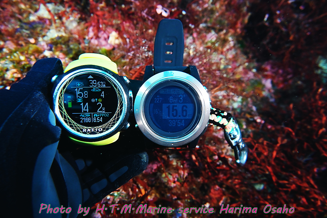 f:id:HTMMarine:20210413003827j:plain