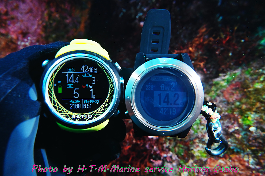 f:id:HTMMarine:20210420153301j:plain