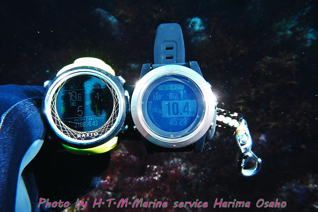 f:id:HTMMarine:20210420153325j:plain