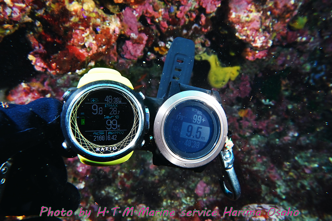 f:id:HTMMarine:20210420153350j:plain