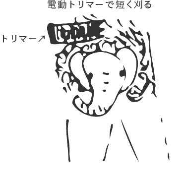 f:id:HULOT:20170929135304g:plain