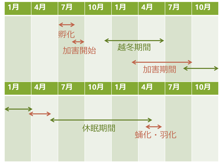 f:id:HU_forestry:20180822233725p:plain f:id:HU_forestry:20180822233725p:plain
