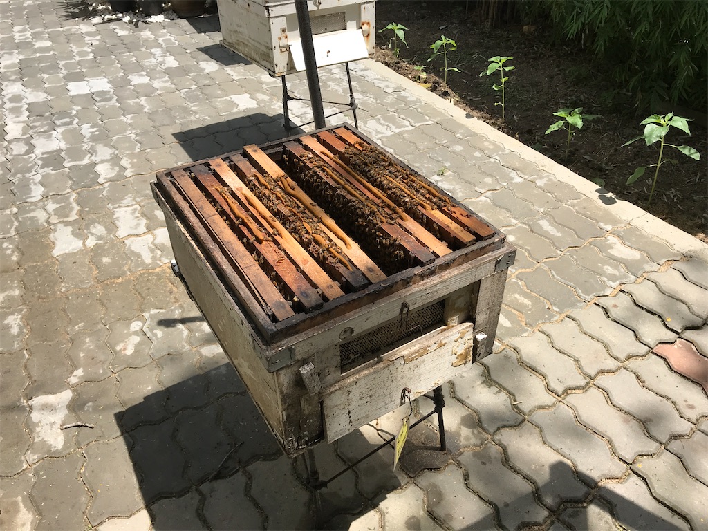 f:id:HY22201908:20230618203609j:image