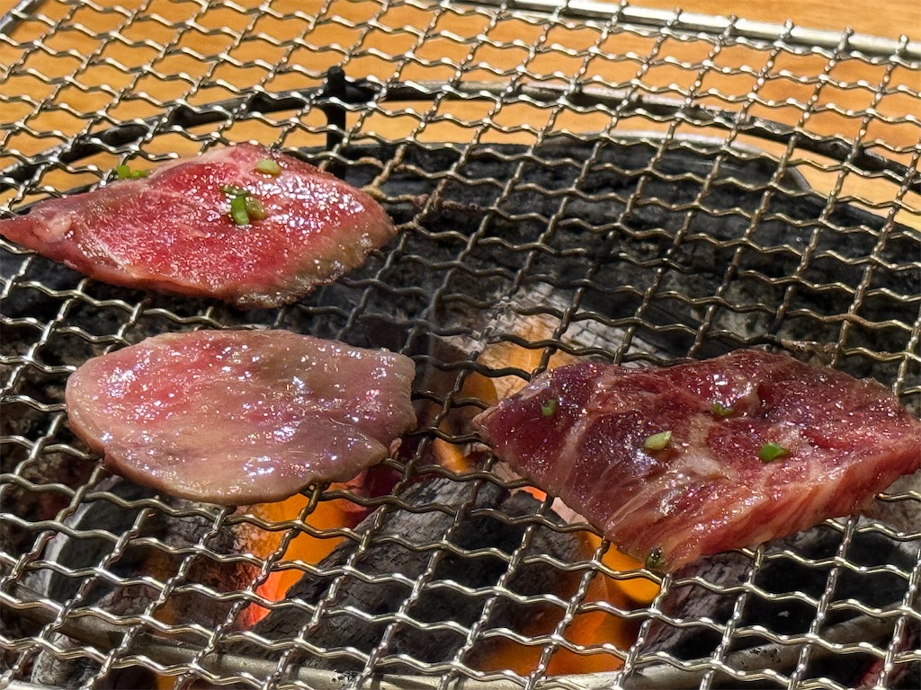 f:id:HY22201908:20231104221254j:image