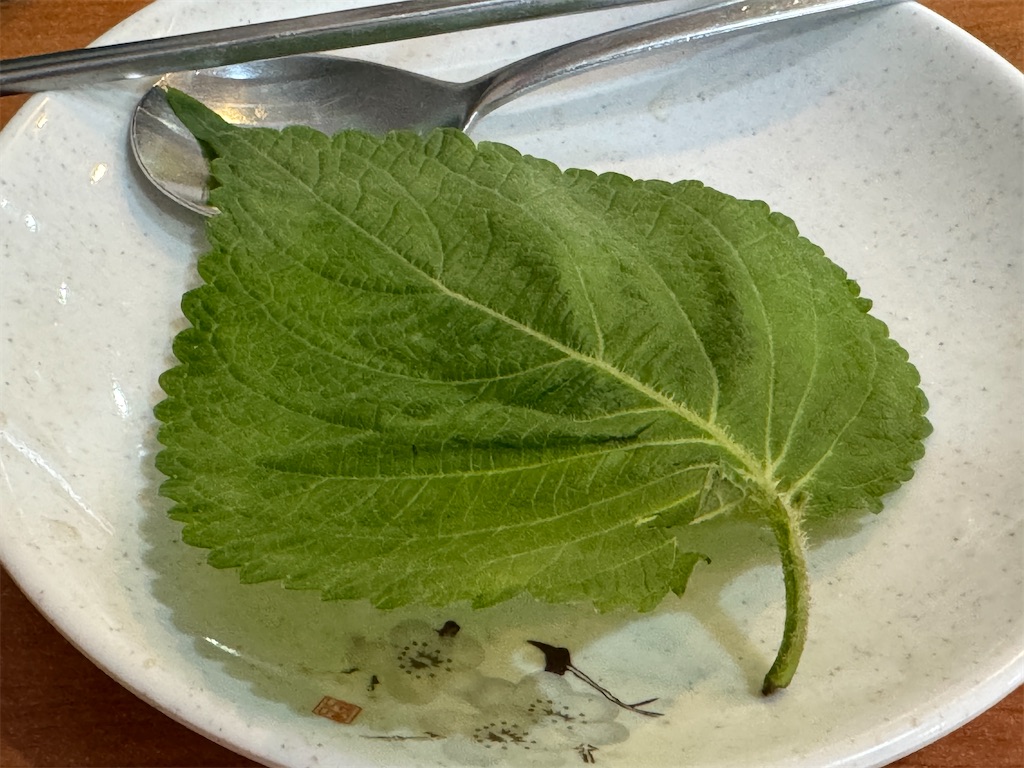 f:id:HY22201908:20240102202838j:image