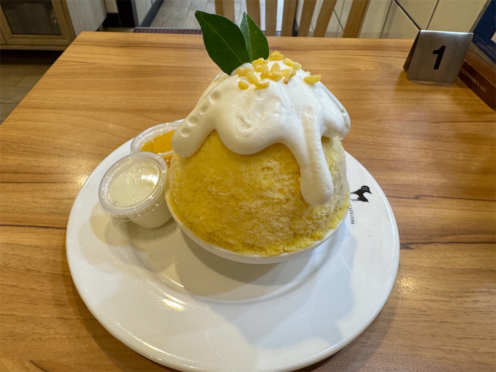 f:id:HY22201908:20241208160146j:image