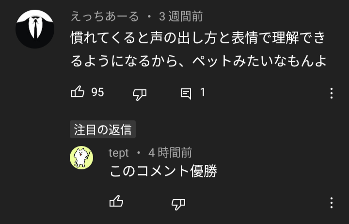 VTuberの切り抜き動画のコメント欄でグットボタンがほしいと思ったこと