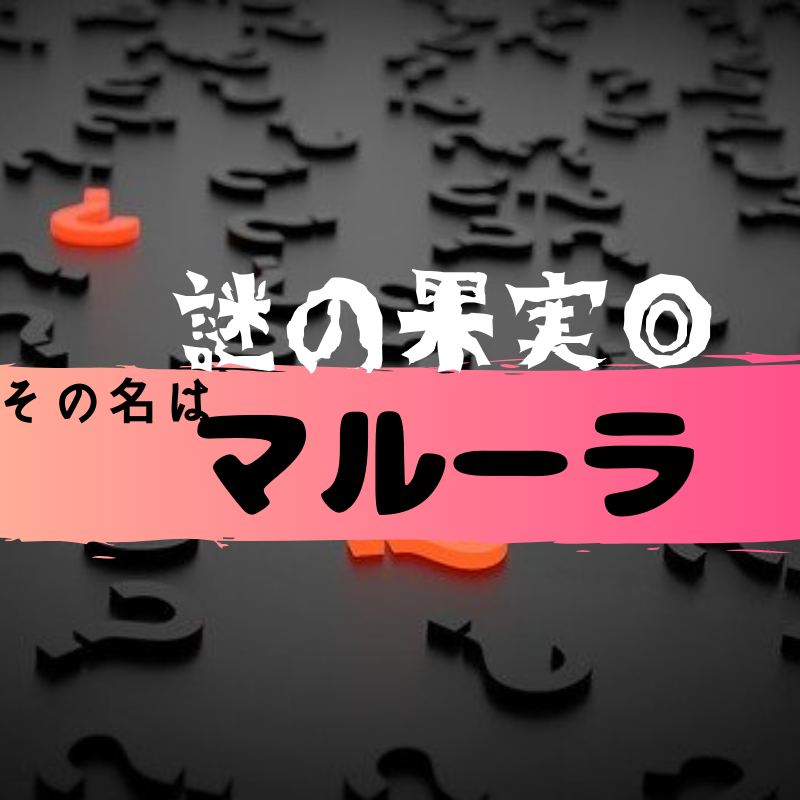 マルーラ 食べるとズドンと強烈に酔うこの実を知っているか 相席食堂にて紹介されたぞ ハリウッドちゃんねる