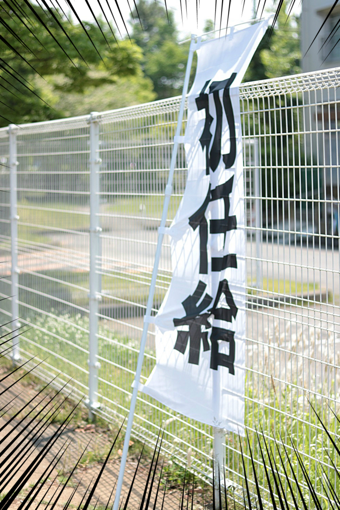 f:id:HaLuKa:20170520235948j:plain f:id:HaLuKa:20170520235948j:plain