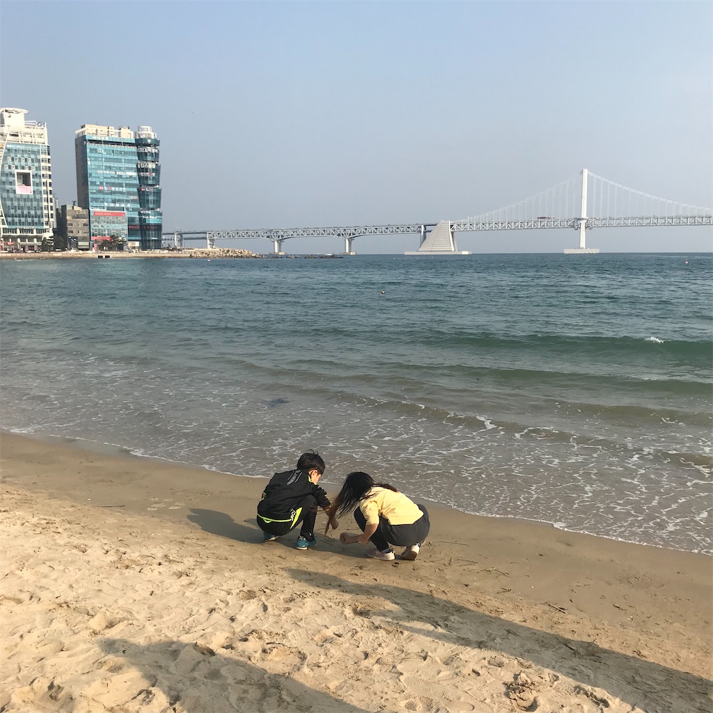f:id:Ha_na:20200325183605j:image f:id:Ha_na:20200325183605j:image