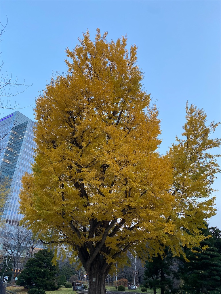 f:id:Ha_na:20211205134722j:image f:id:Ha_na:20211205134722j:image