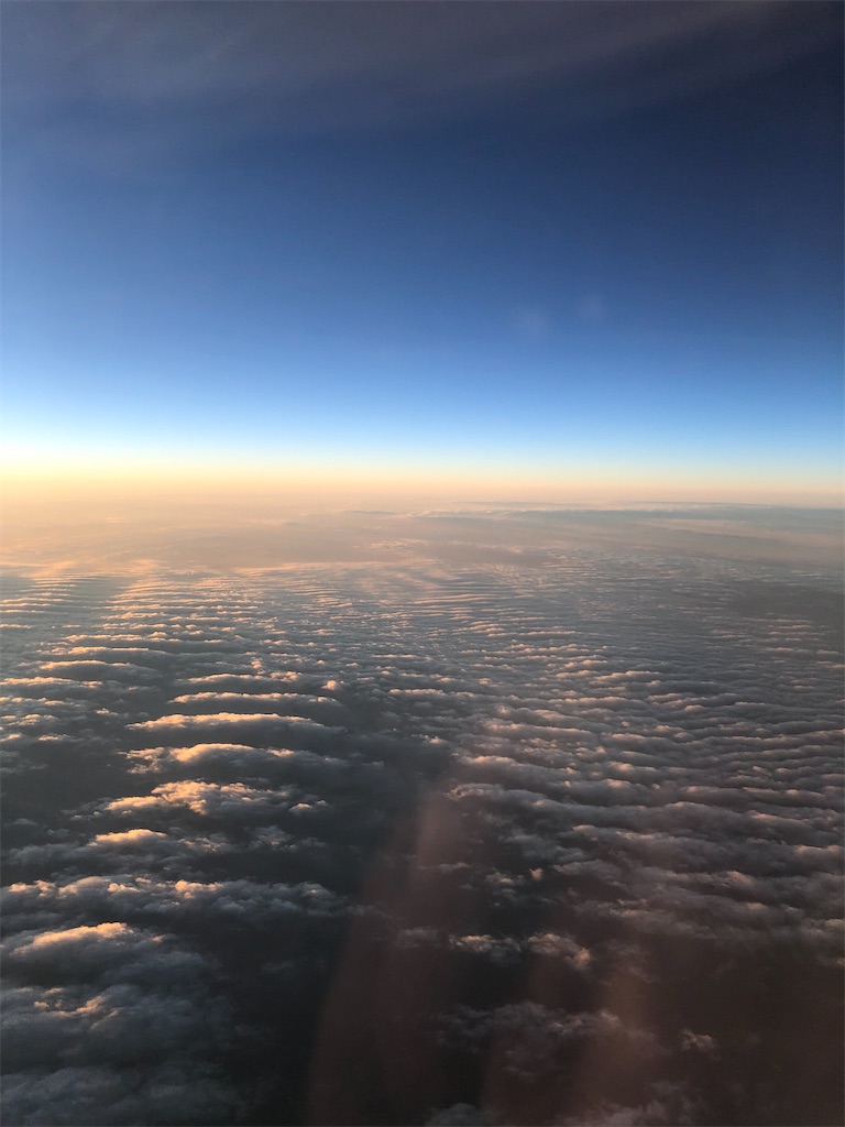 f:id:Habatake:20200315184535j:image f:id:Habatake:20200315184535j:image