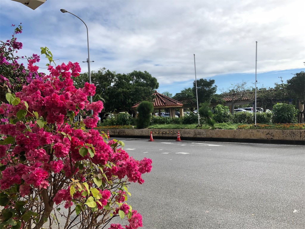 f:id:Habatake:20200315193202j:image