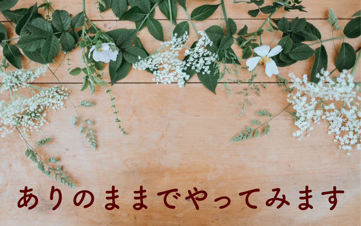 f:id:Hacchi365:20201215143510j:plain