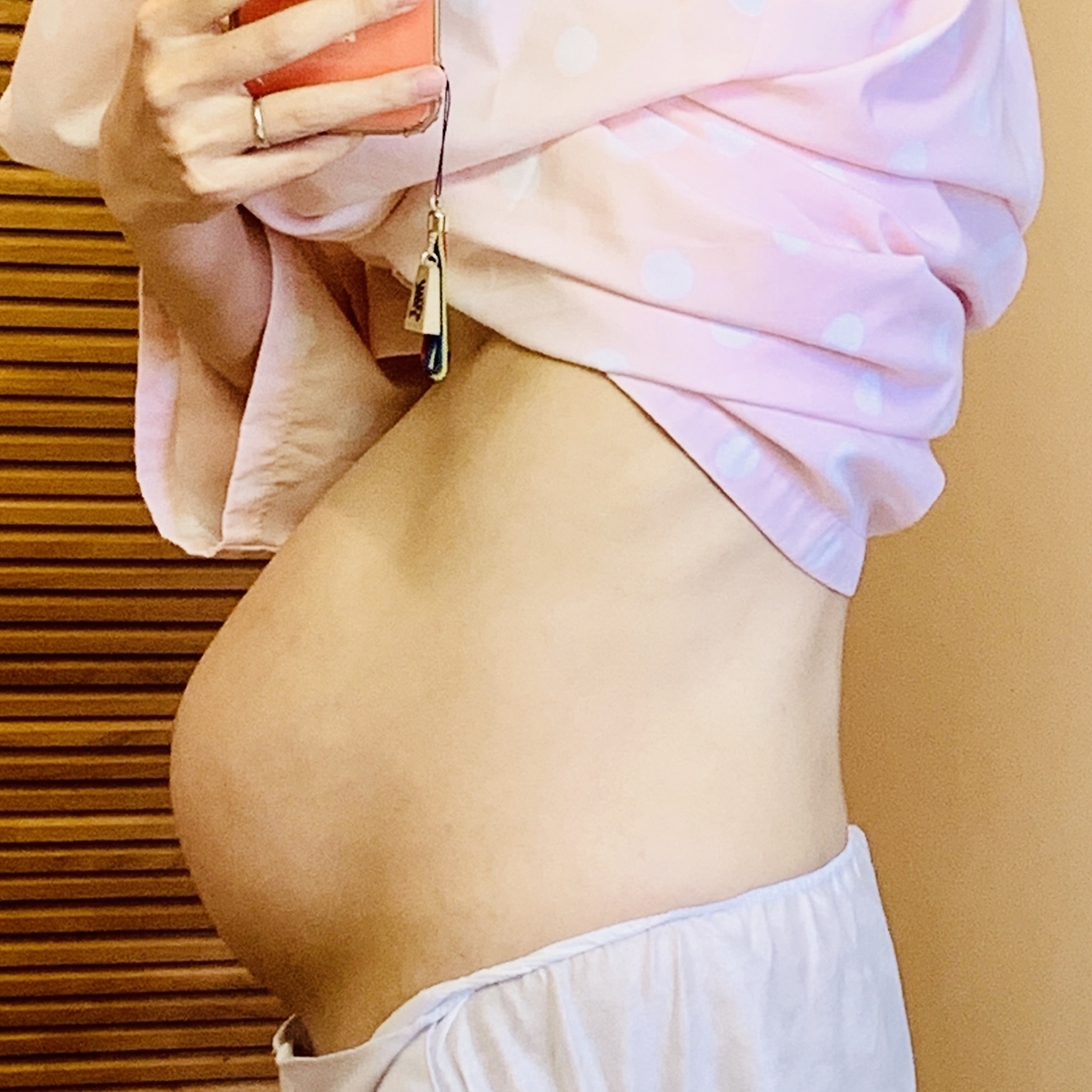 f:id:Hachikou:20191126105626j:plain