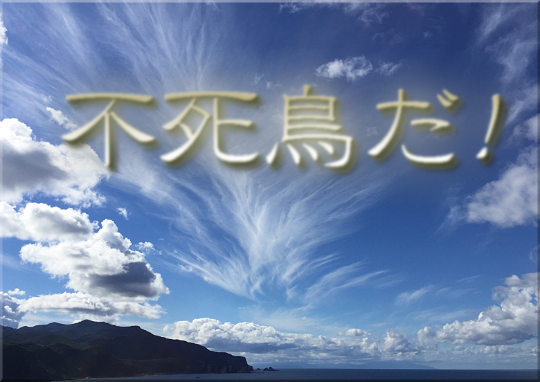 f:id:HaganeTokuchi:20191221131310j:plain