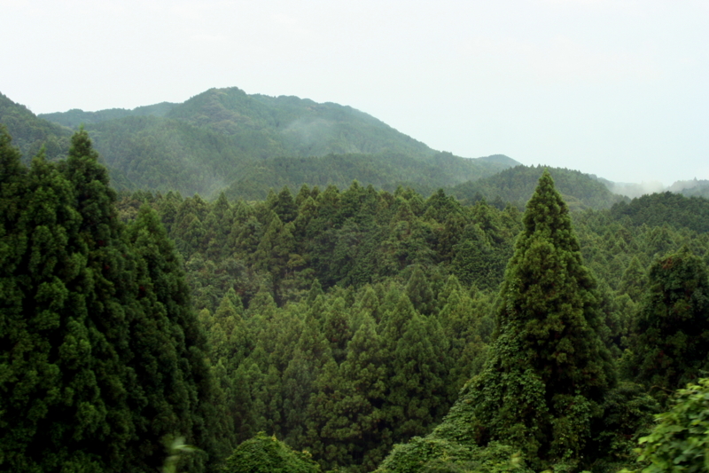 f:id:Hainu_Vele:20110814172143j:image:w540