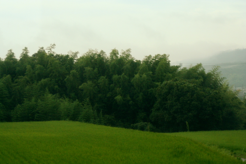 f:id:Hainu_Vele:20110814172146j:image:w540