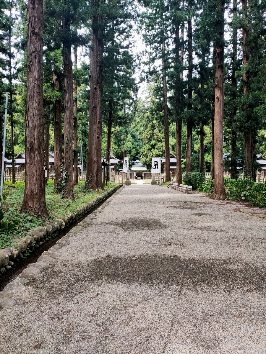 road to grave