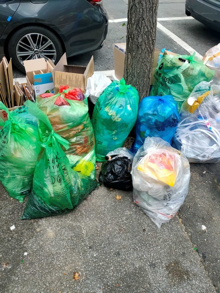 rubbish against tree on the road