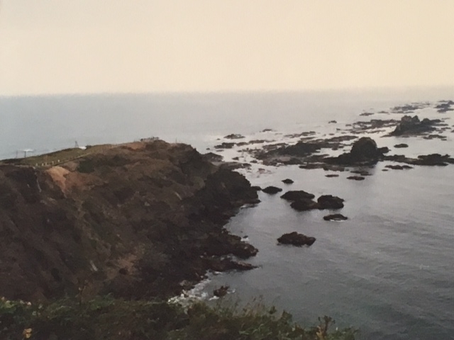 f:id:Hakatayou:20190129132527j:plain f:id:Hakatayou:20190129132527j:plain