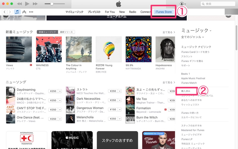 購入済みアプリ・ミュージックを非表示にする方法 iPhone アイフォン アイホン アイポン iPad アイパッド 購入済み アプリ ミュージック 映画 オーディオブック 非表示 設定 方法