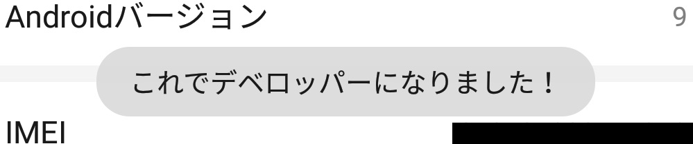 f:id:Haku24:20200524171513j:plain