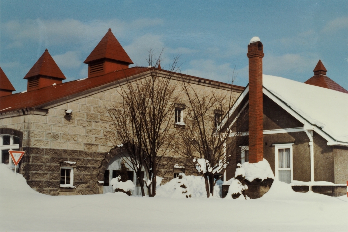 f:id:Hakuto-MA:20210519203418j:plain