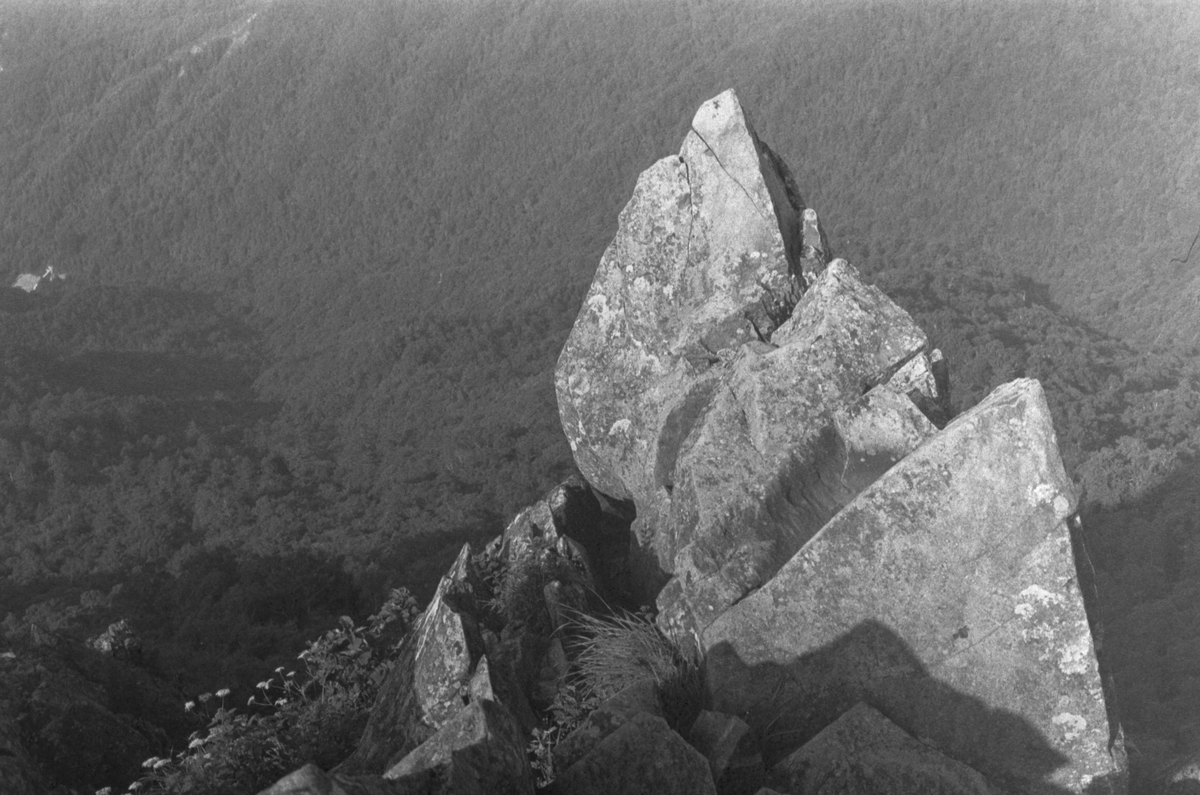 f:id:Hakuto-MA:20210618232308j:plain