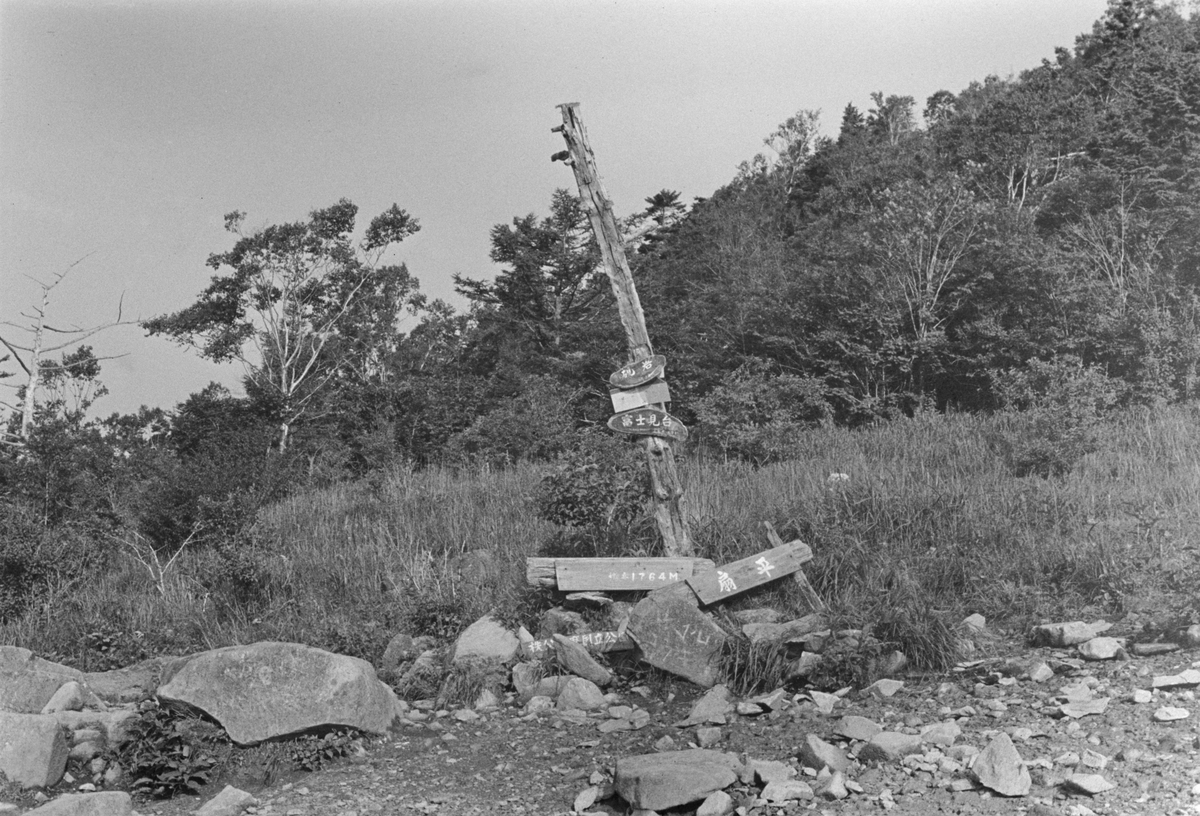 f:id:Hakuto-MA:20210618233005j:plain