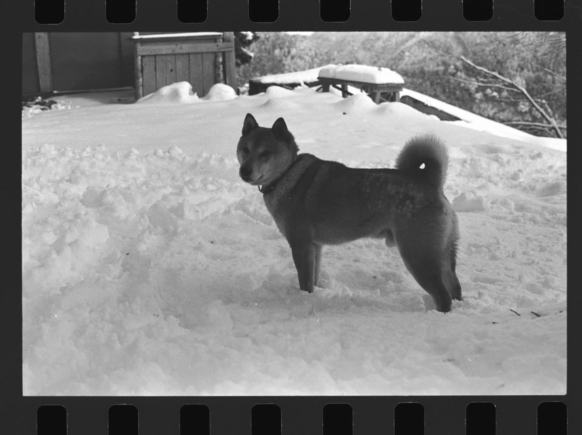 f:id:Hakuto-MA:20210704231905j:plain