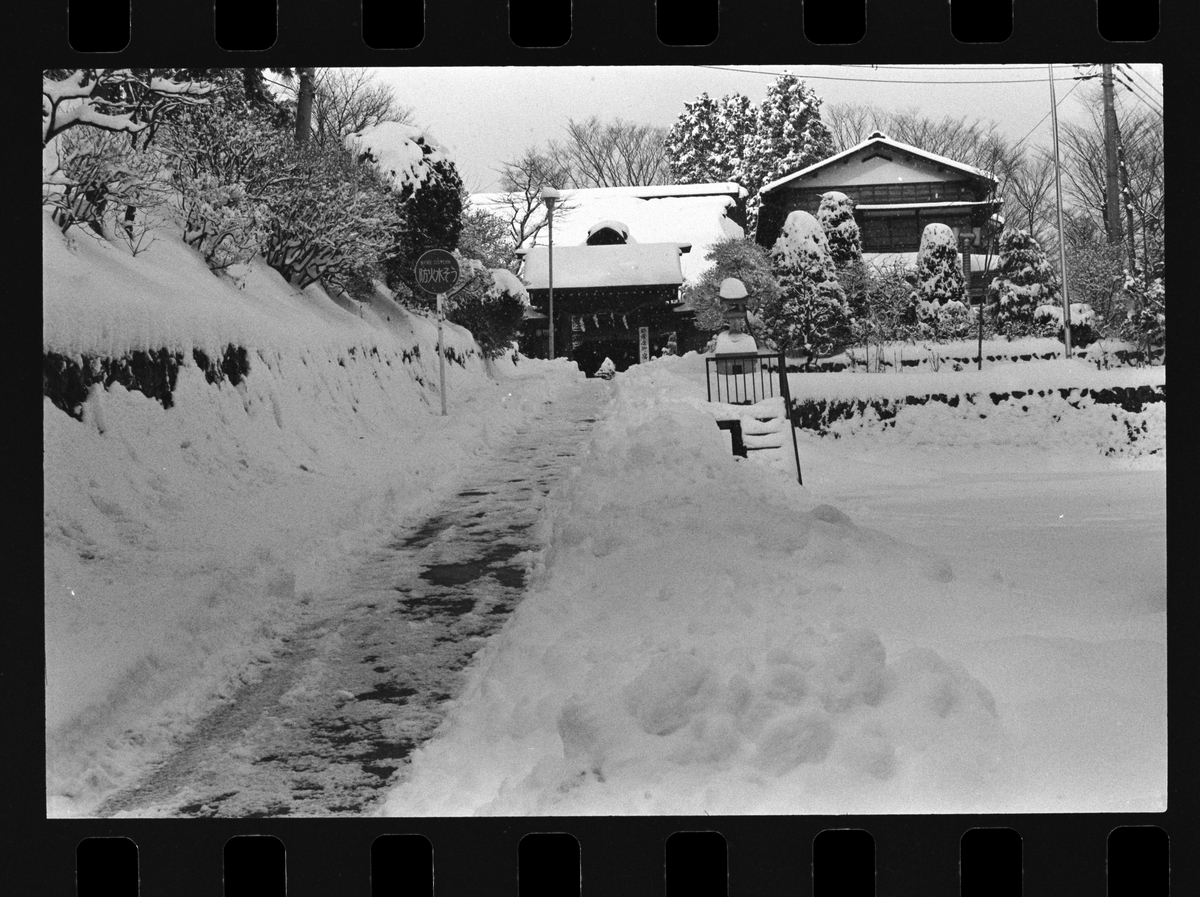 f:id:Hakuto-MA:20210704232221j:plain