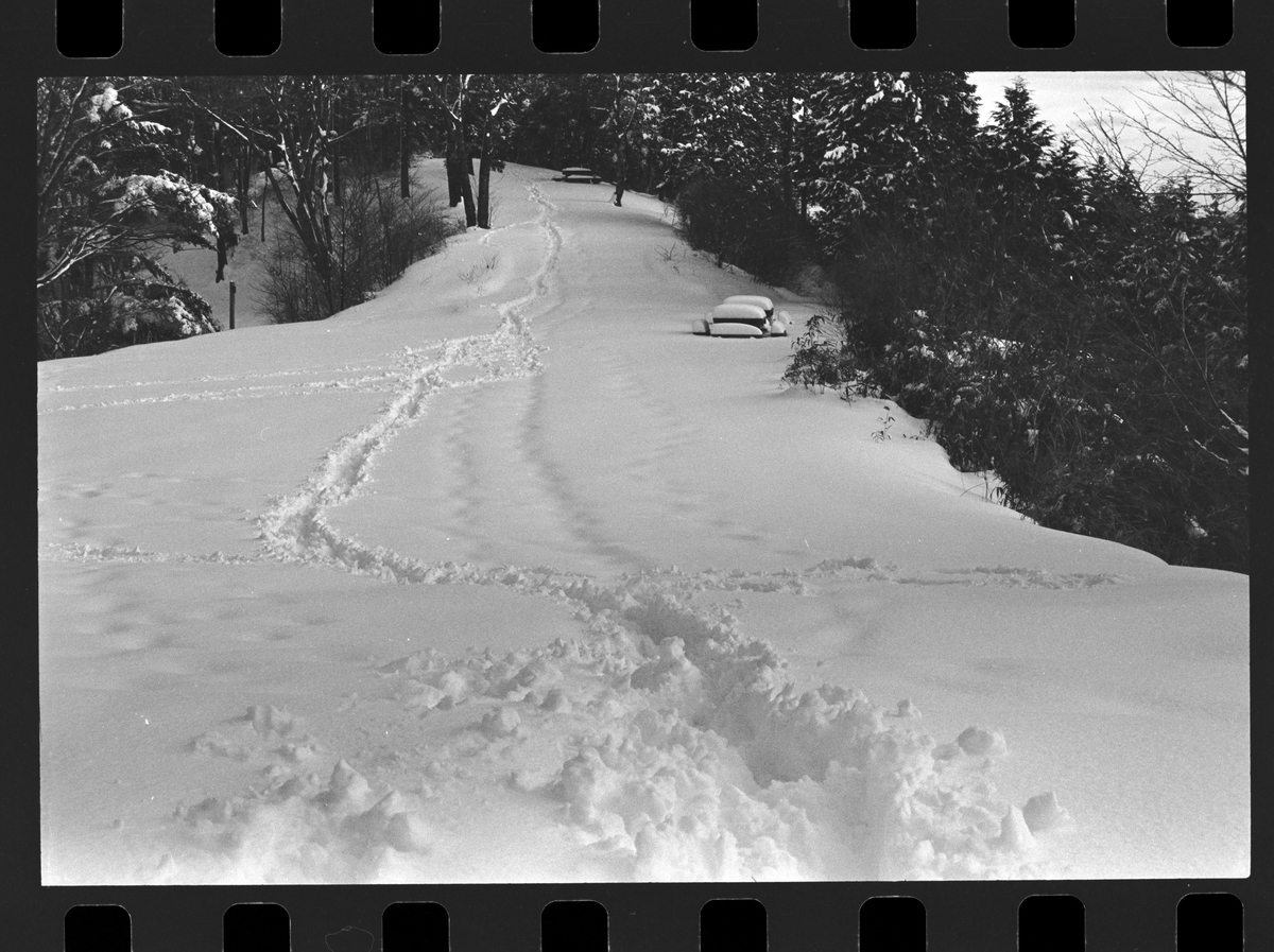 f:id:Hakuto-MA:20210705000502j:plain