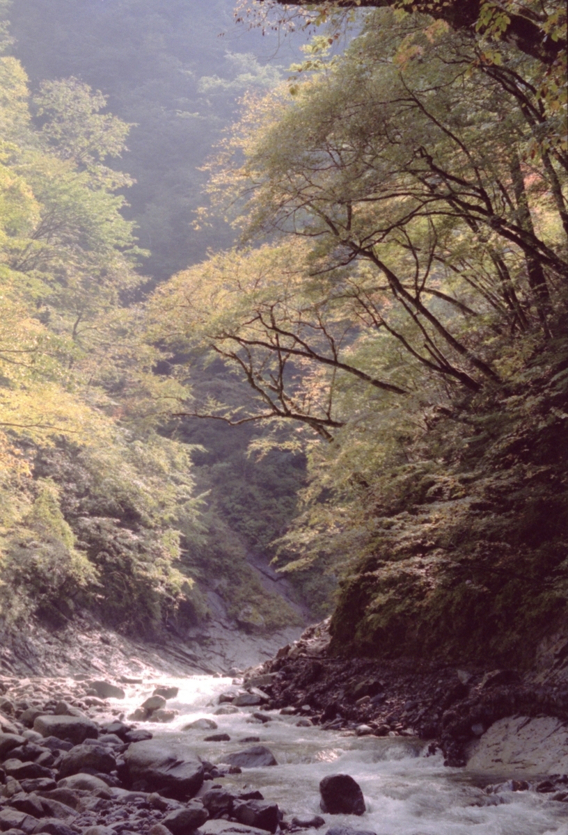 f:id:Hakuto-MA:20210717010305j:plain
