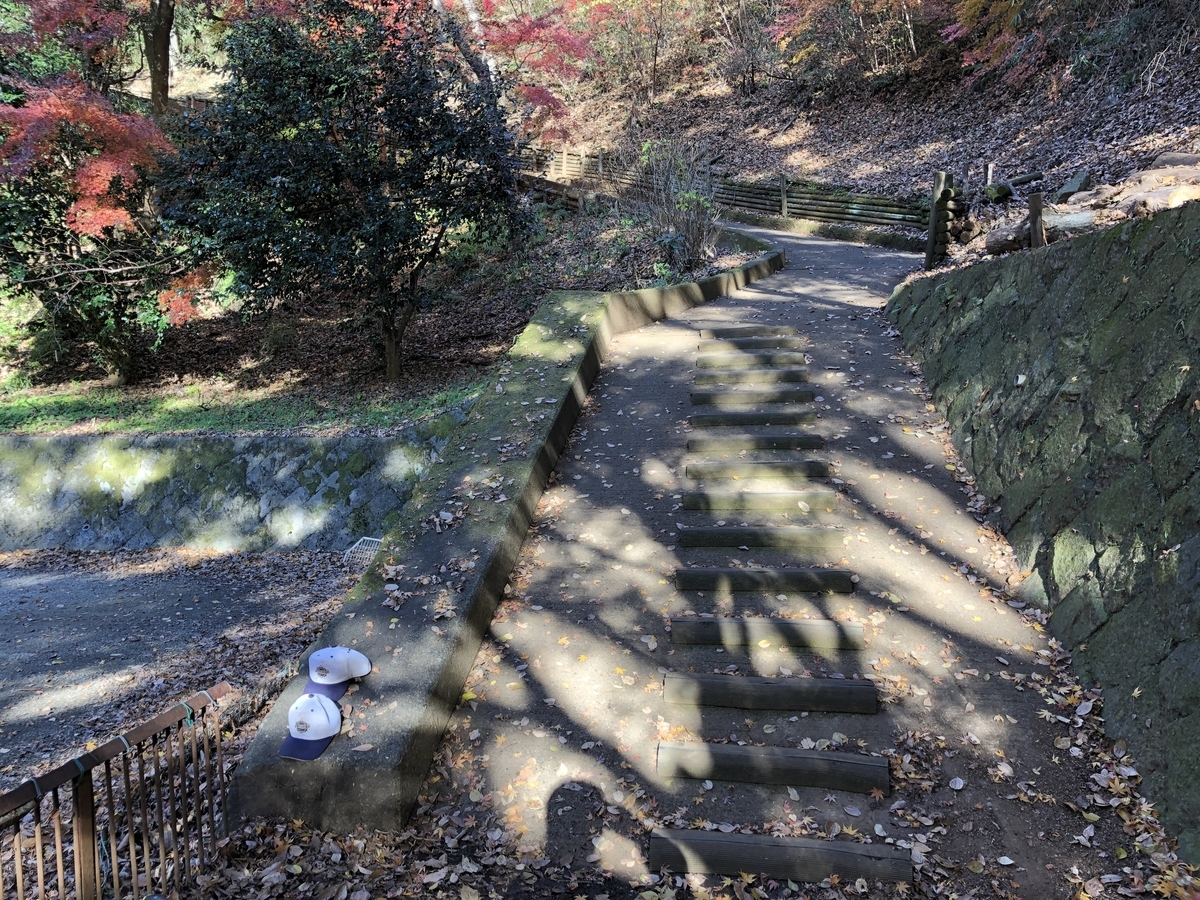 f:id:Hakuto-MA:20211213230727j:plain