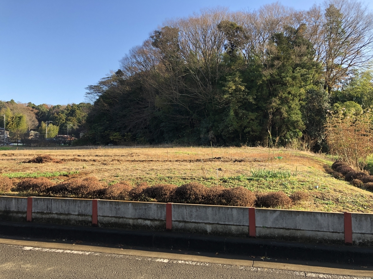 f:id:Hakuto-MA:20211217233345j:plain