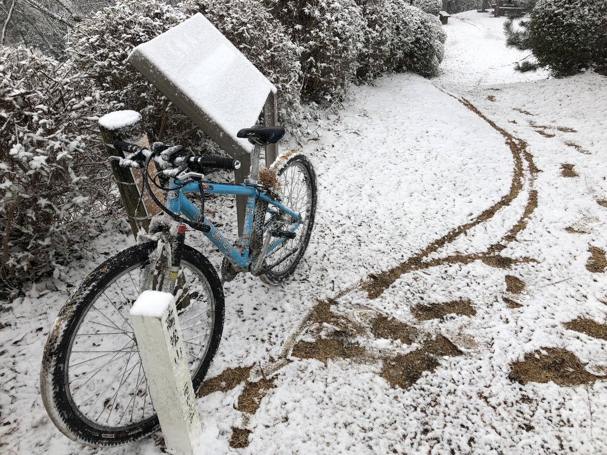 雪が降って野山を駆け回る 小町緑地から愛名緑地 Hakuto 日記