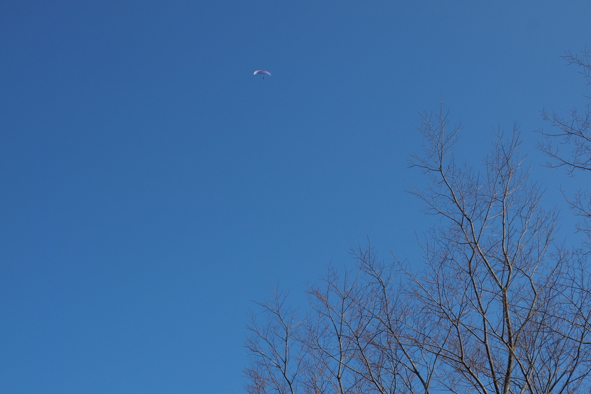 f:id:Hakuto-MA:20220111002404j:plain