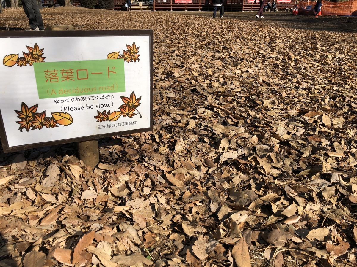 f:id:Hakuto-MA:20220116231840j:plain