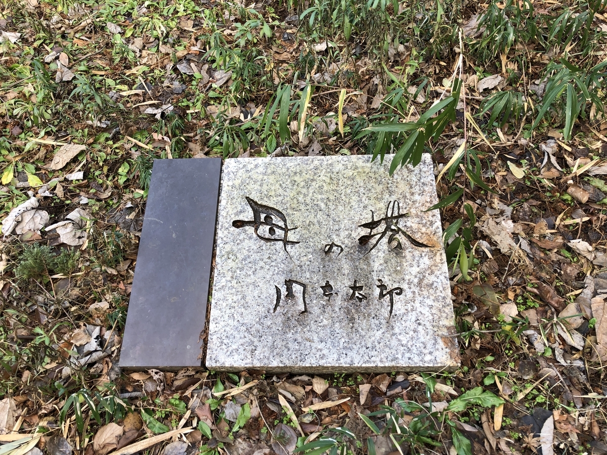 f:id:Hakuto-MA:20220116234328j:plain