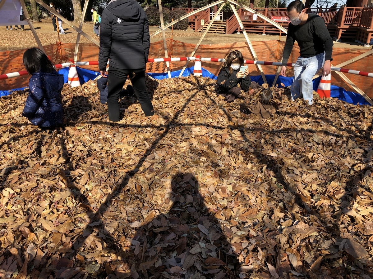 f:id:Hakuto-MA:20220116235250j:plain