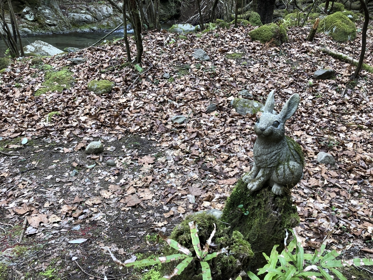 f:id:Hakuto-MA:20220409011804j:plain