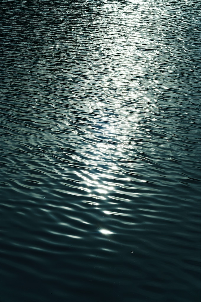 f:id:Halprogram:20250106233014j:image