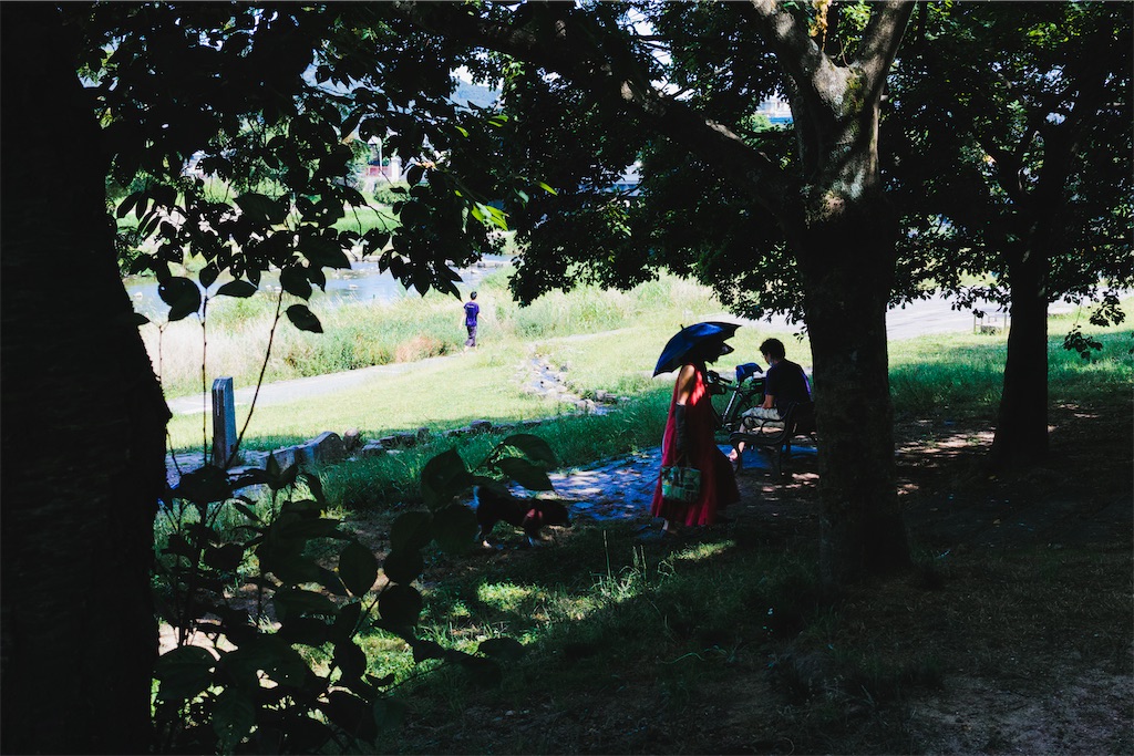 f:id:Halprogram:20250107013205j:image