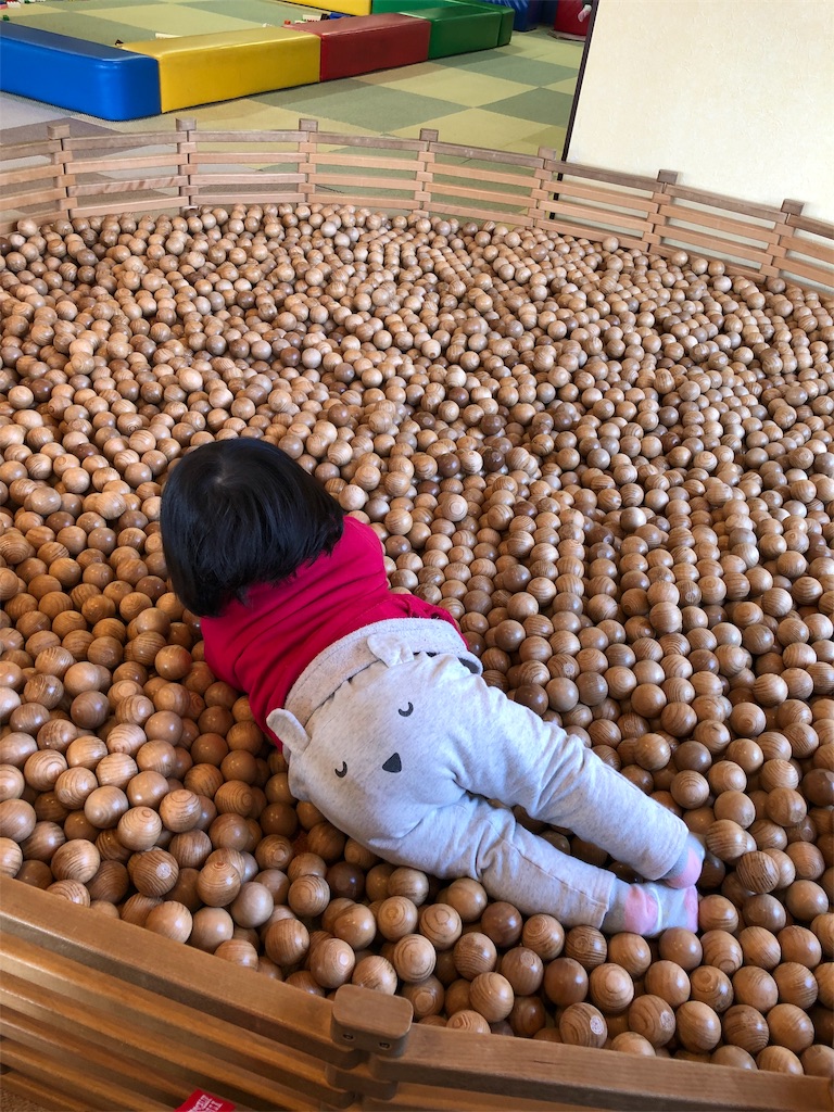 f:id:HamUsa:20190315221724j:image