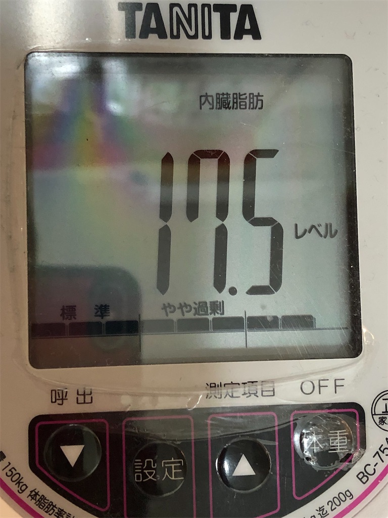 f:id:HamUsa:20190324223414j:image