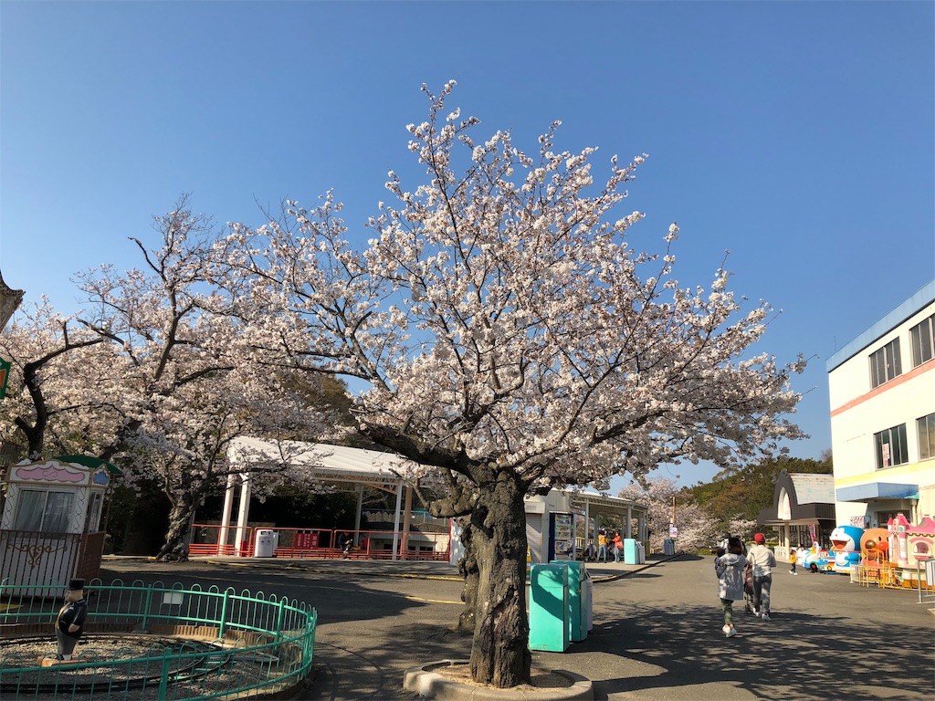 f:id:HamUsa:20190405070021j:image