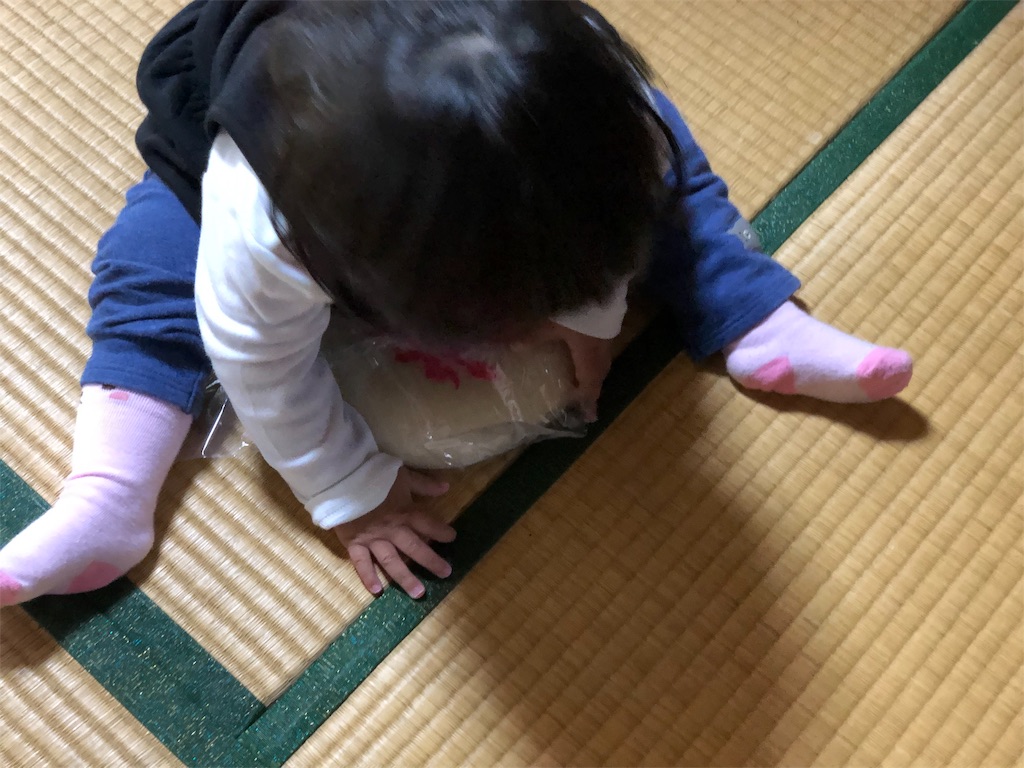 f:id:HamUsa:20190430093646j:image