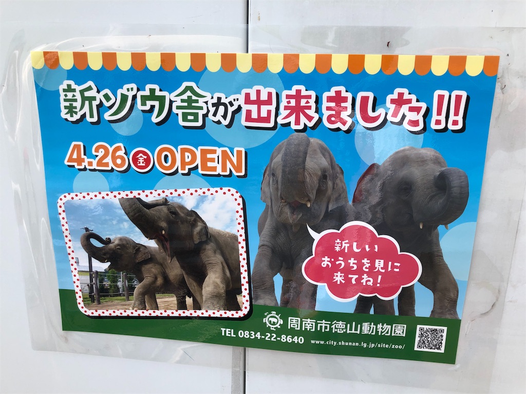 f:id:HamUsa:20190502201706j:image
